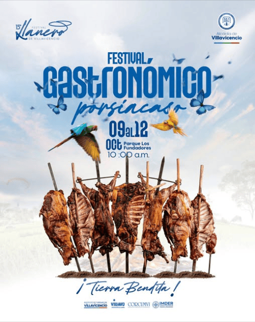 festi banner 2
